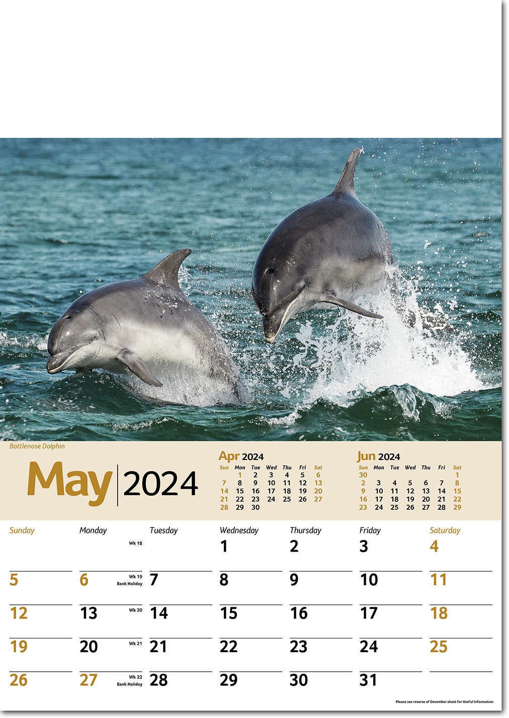 Wildlife Memo