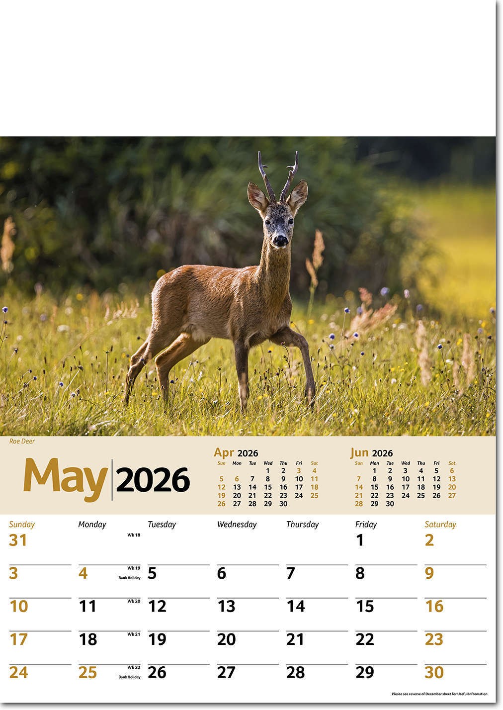 Wildlife Memo