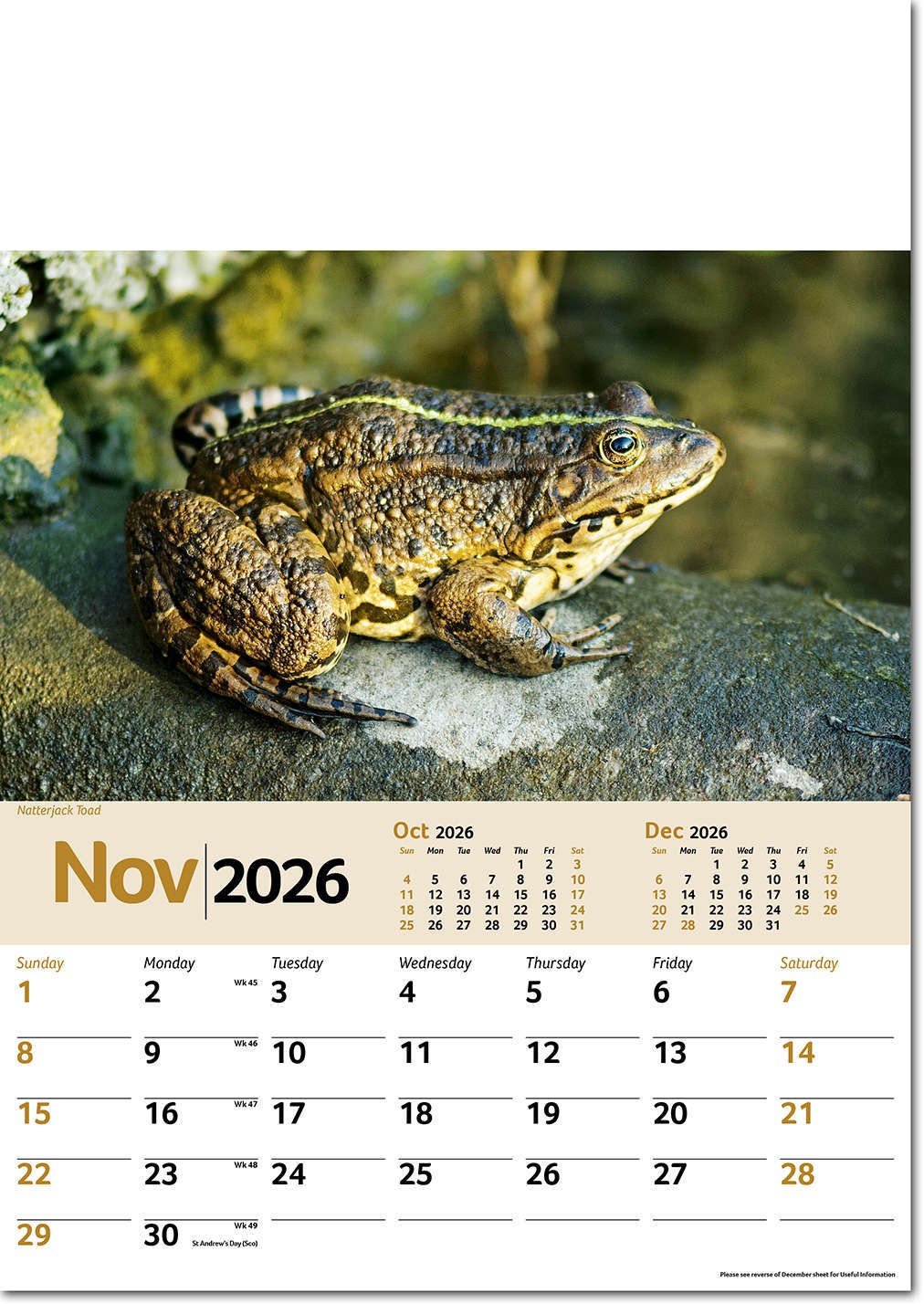 Wildlife Memo