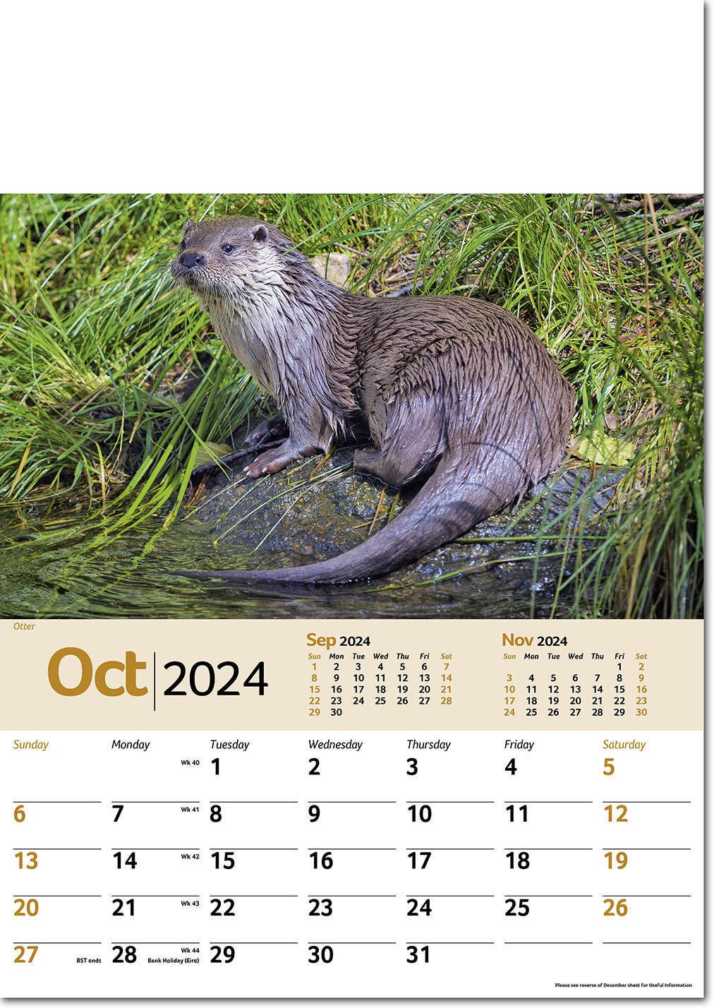Wildlife Memo