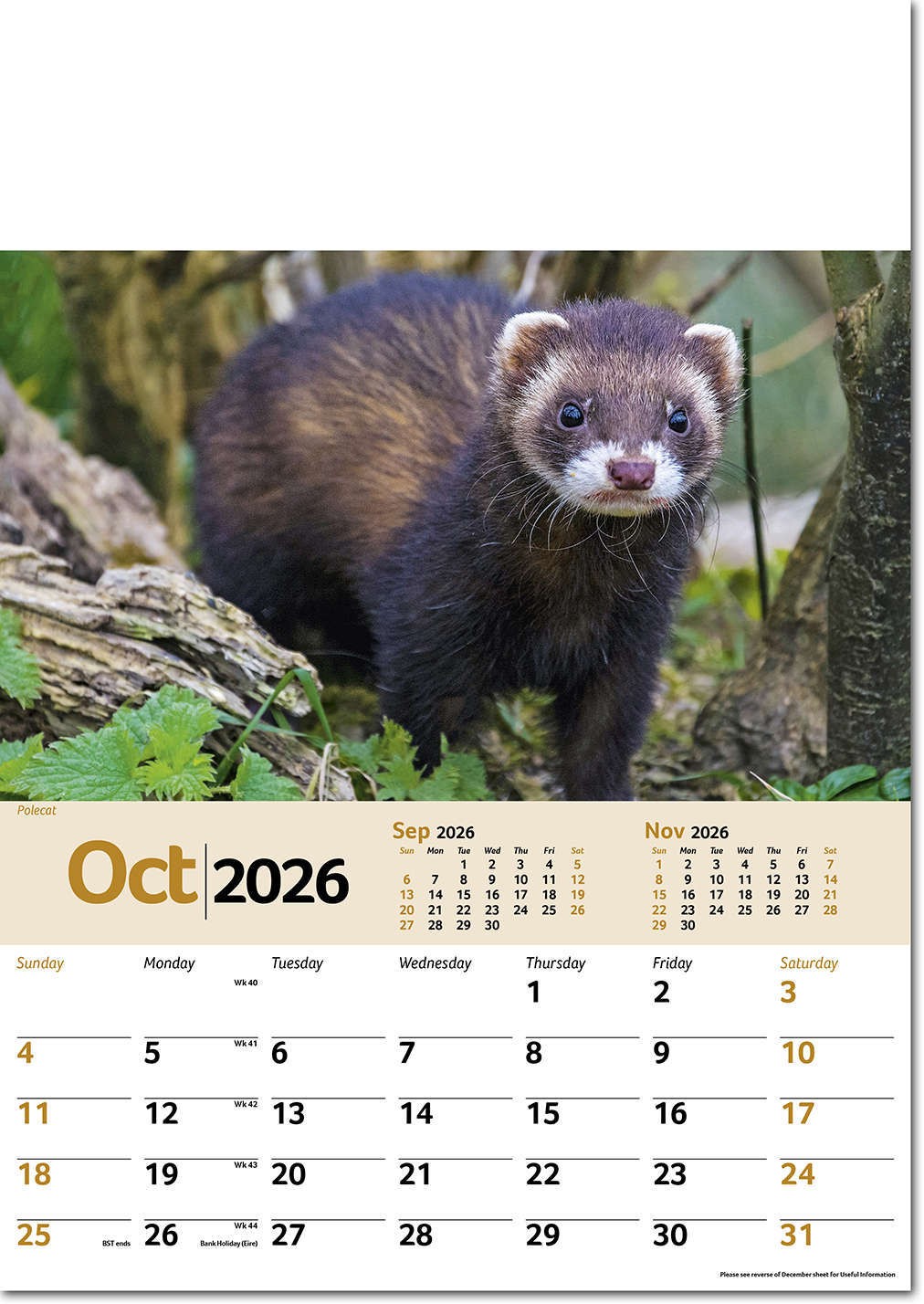 Wildlife Memo