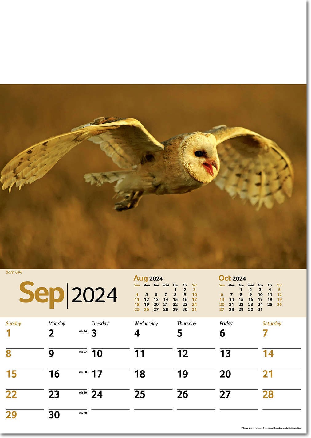 Wildlife Memo