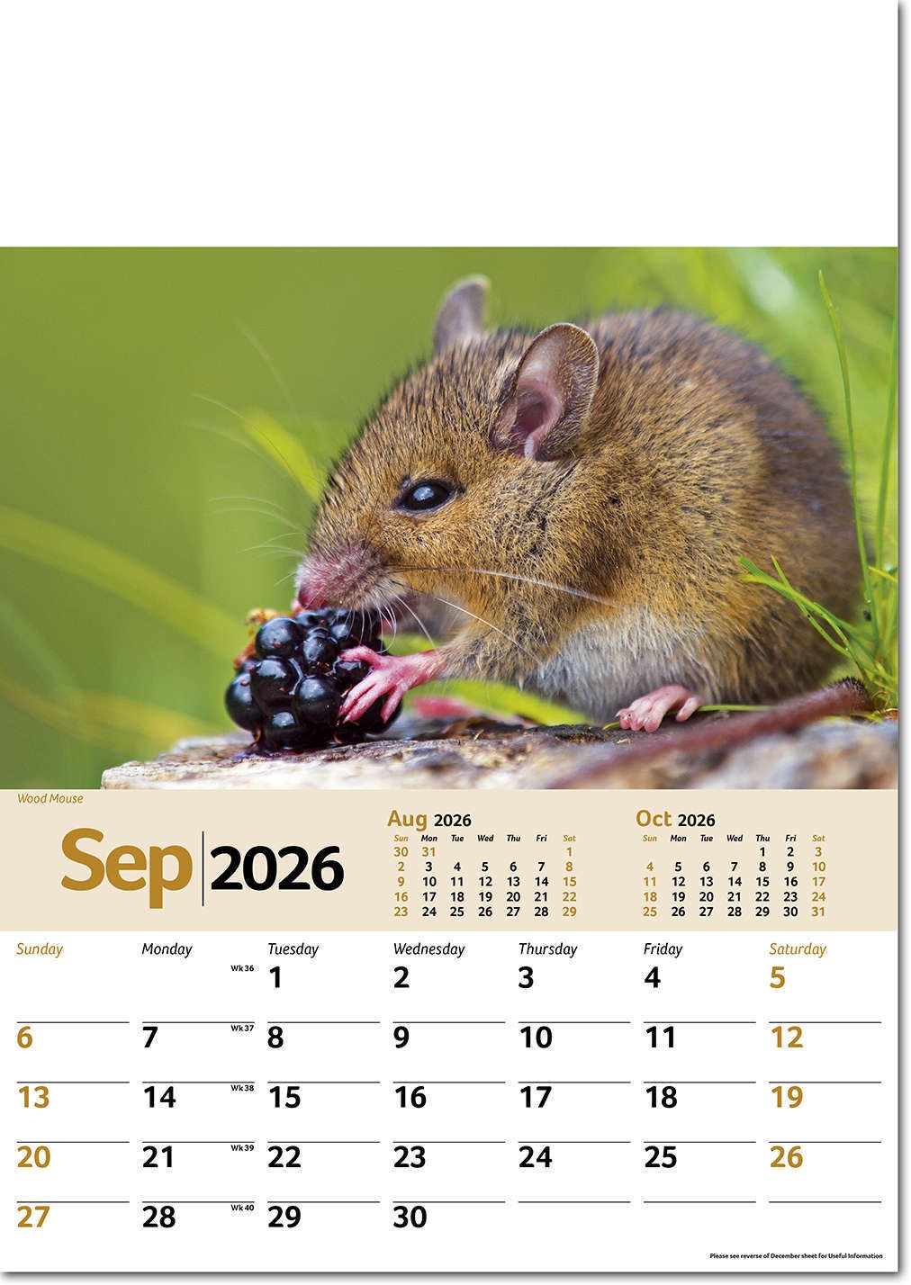 Wildlife Memo