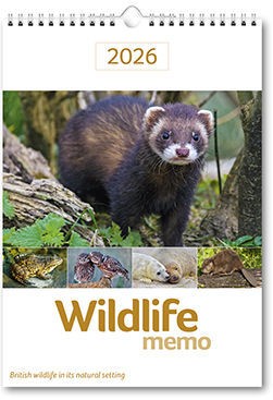 Wildlife Memo